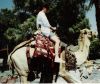 DianaCamel1992.jpg